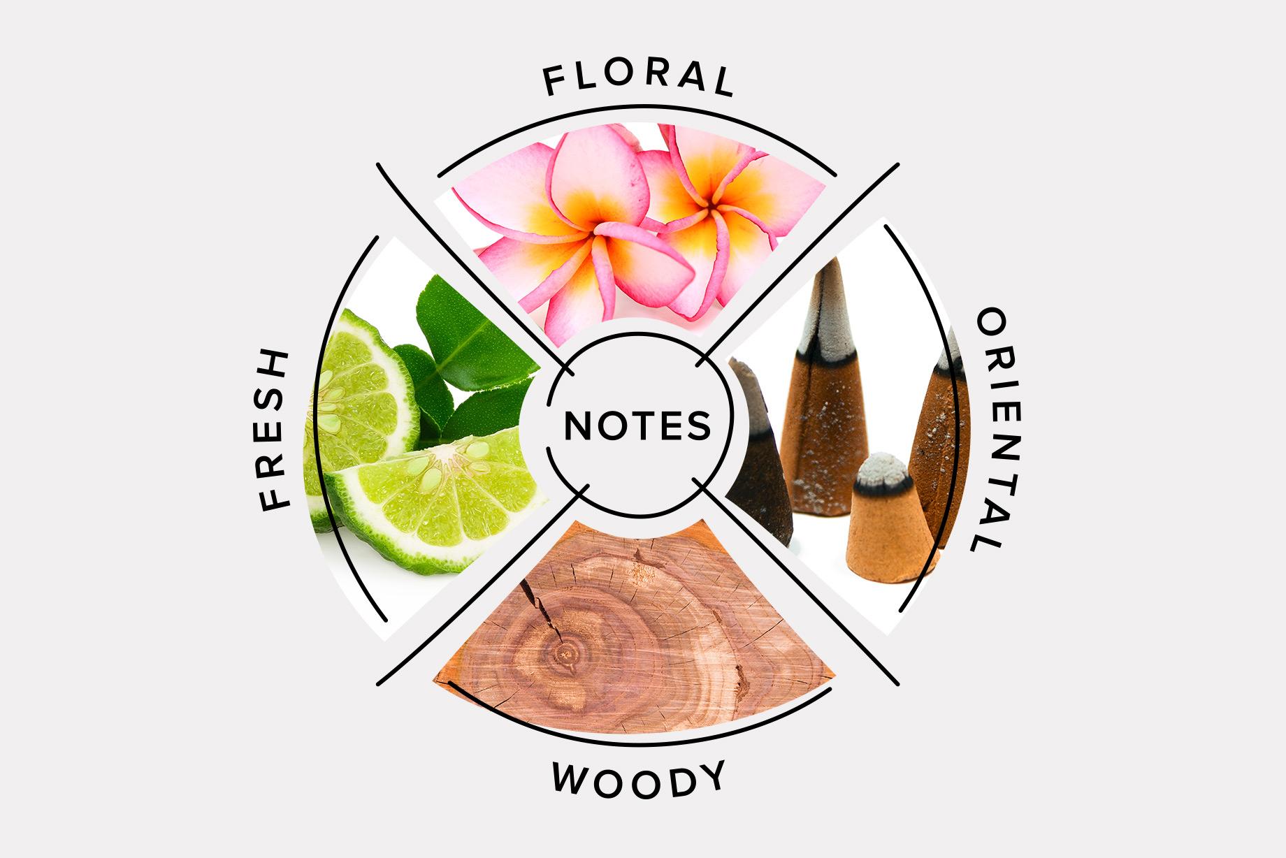 A Beginner's Guide to Perfume Scent Categories