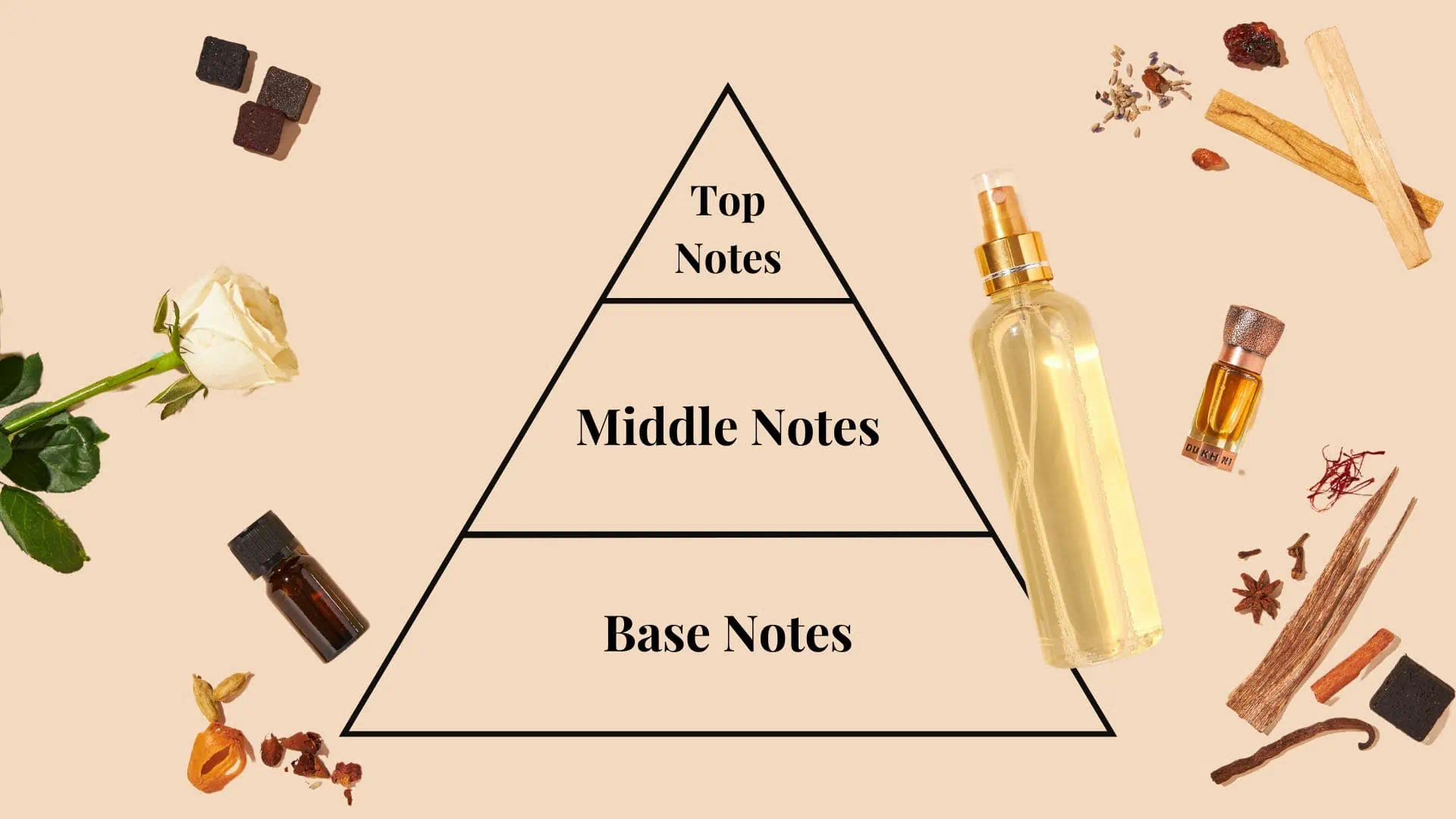 Perfumes Notes